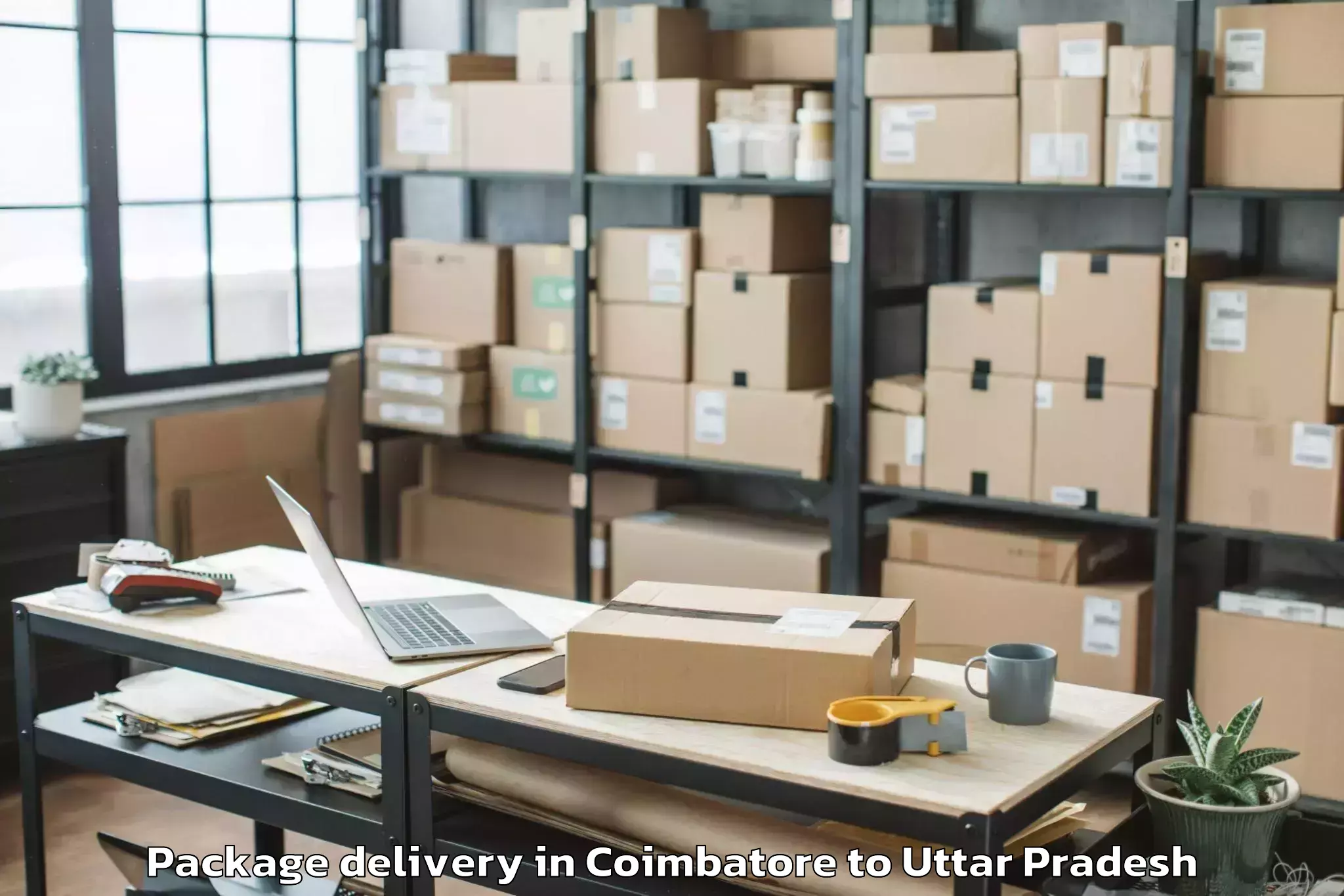 Efficient Coimbatore to Tdi Mall Agra Package Delivery